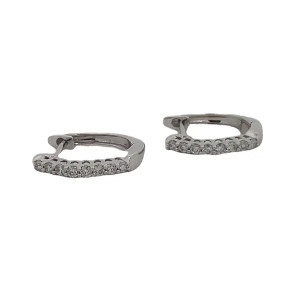 Diamond Earrings Thomas A. Davis Jewelers Holland, MI