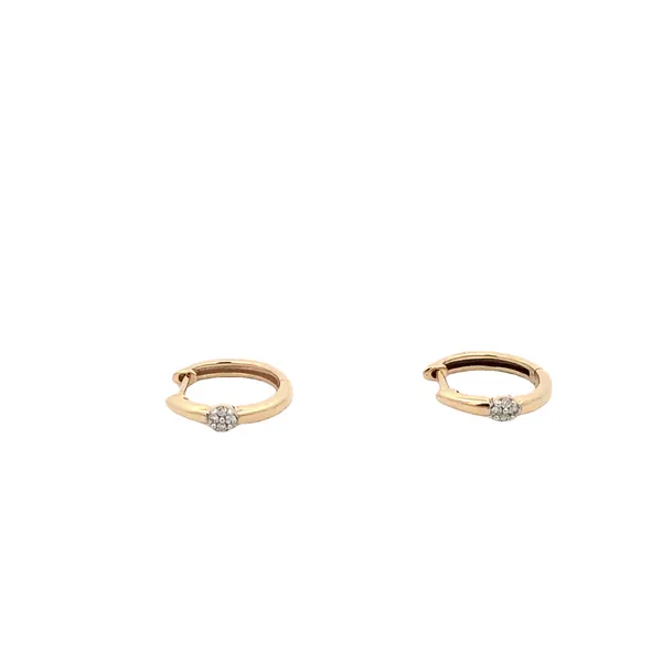 Diamond Earrings Thomas A. Davis Jewelers Holland, MI