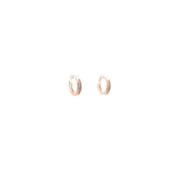 Diamond Earrings Thomas A. Davis Jewelers Holland, MI