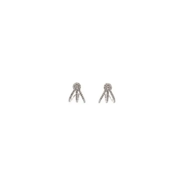 Diamond Earrings Thomas A. Davis Jewelers Holland, MI