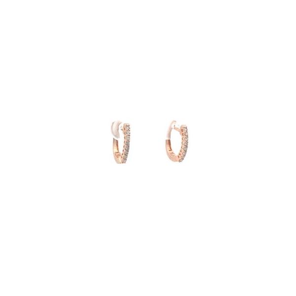 Diamond Earrings Thomas A. Davis Jewelers Holland, MI