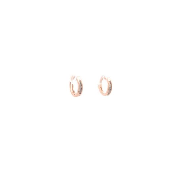 Diamond Earrings Thomas A. Davis Jewelers Holland, MI