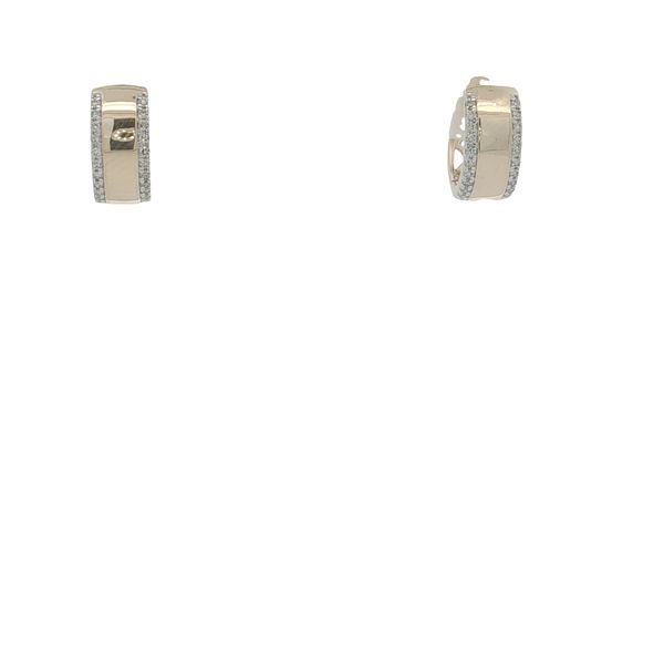 Diamond Earrings Thomas A. Davis Jewelers Holland, MI