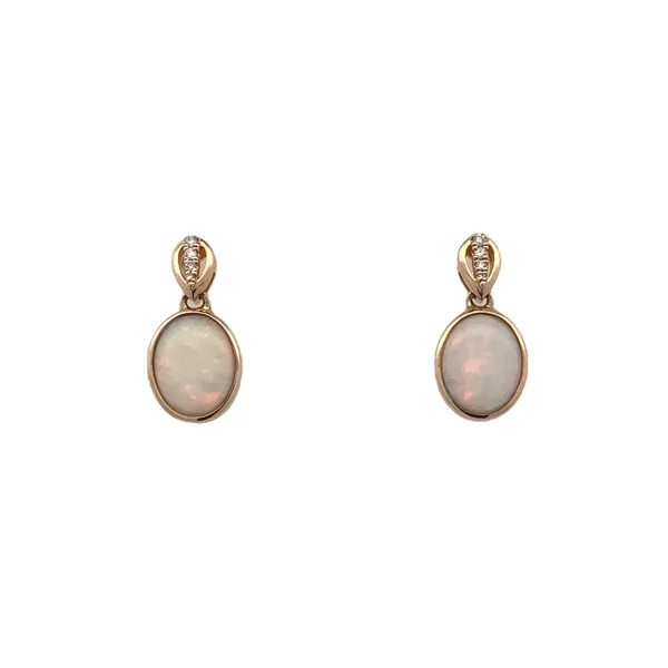 Colored Stone Earring Thomas A. Davis Jewelers Holland, MI