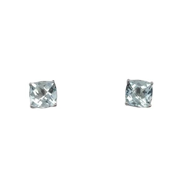 Colored Stone Earring Thomas A. Davis Jewelers Holland, MI