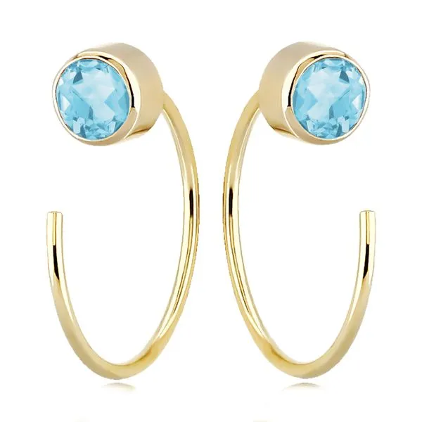 Colored Stone Earring Thomas A. Davis Jewelers Holland, MI