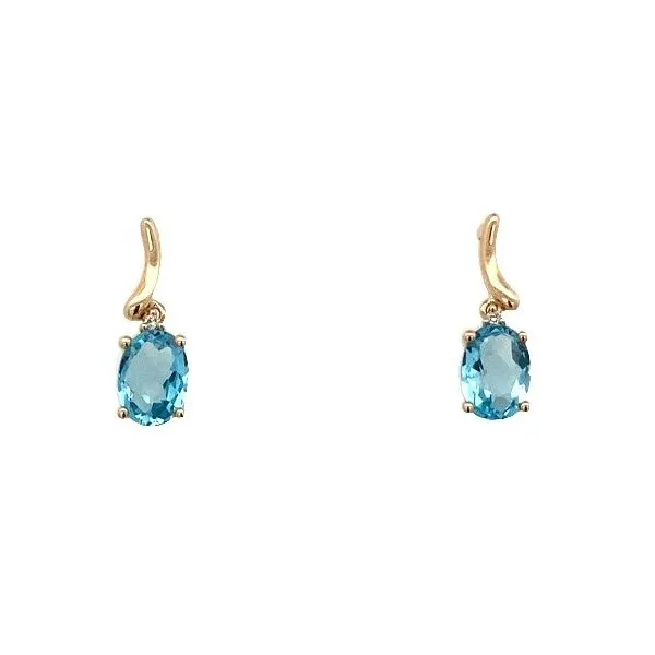 Colored Stone Earring Thomas A. Davis Jewelers Holland, MI