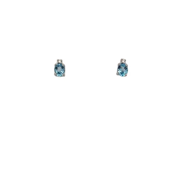 Colored Stone Earring Thomas A. Davis Jewelers Holland, MI