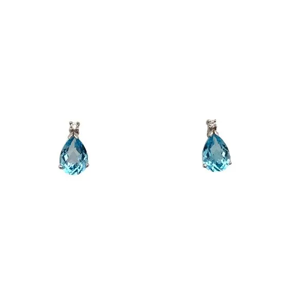 Colored Stone Earring Thomas A. Davis Jewelers Holland, MI