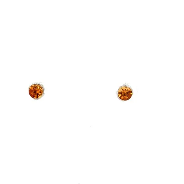 Colored Stone Earring Thomas A. Davis Jewelers Holland, MI