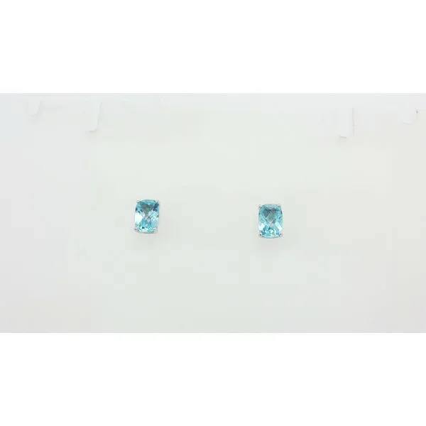 Colored Stone Earring Thomas A. Davis Jewelers Holland, MI