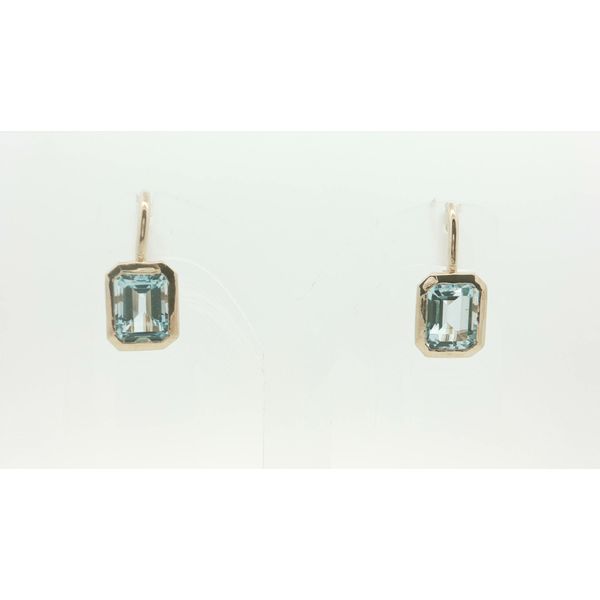 Colored Stone Earring Thomas A. Davis Jewelers Holland, MI