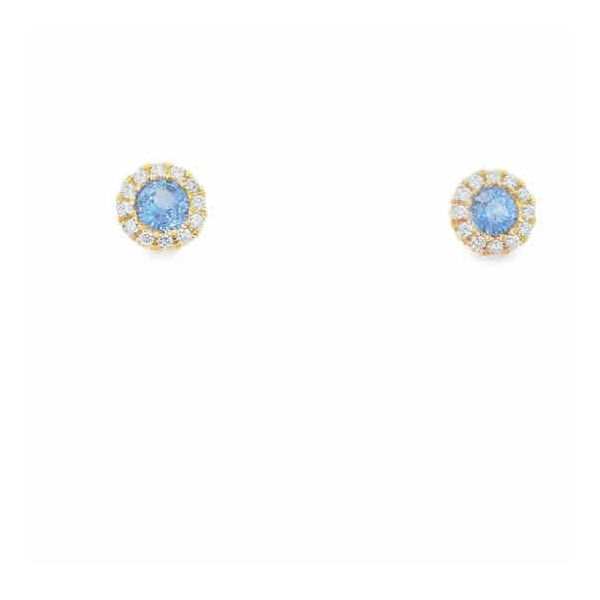 Colored Stone Earring Thomas A. Davis Jewelers Holland, MI