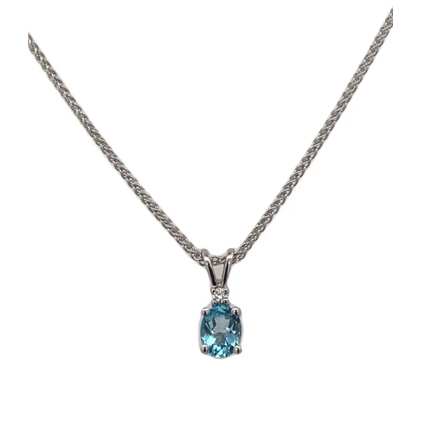 Colored Stone Necklace/Pendant Thomas A. Davis Jewelers Holland, MI