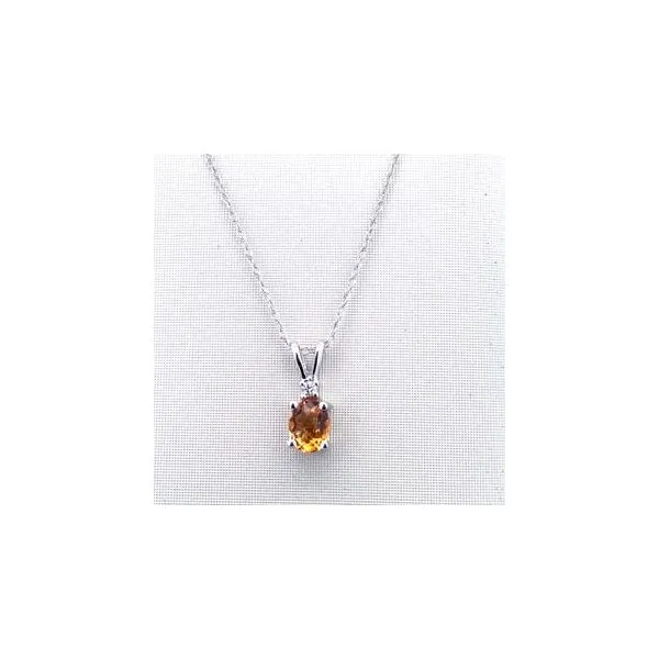 Colored Stone Necklace/Pendant Thomas A. Davis Jewelers Holland, MI