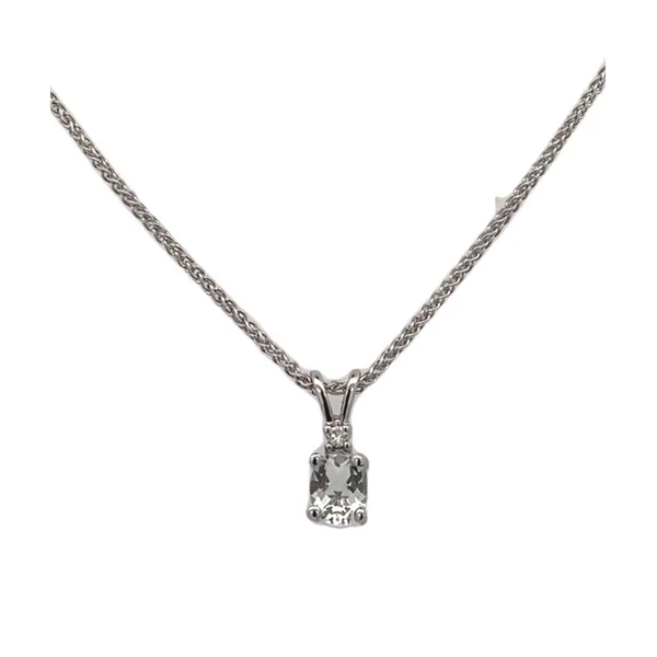 Colored Stone Necklace/Pendant Thomas A. Davis Jewelers Holland, MI