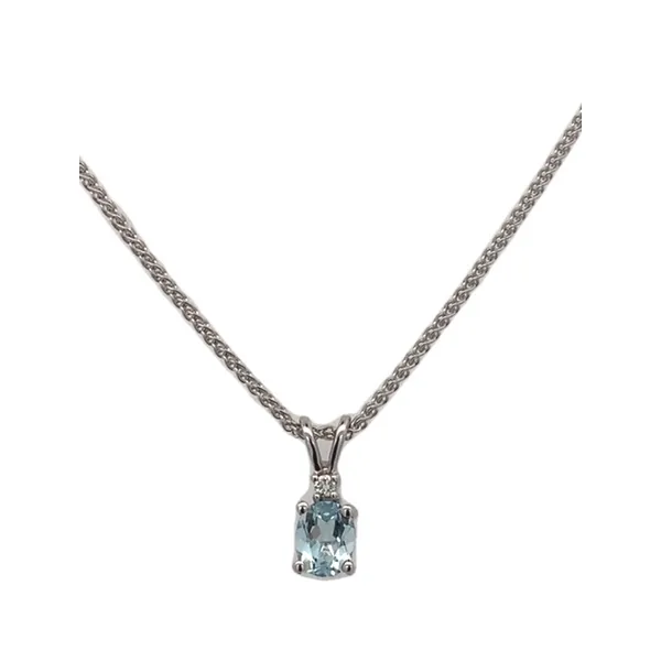 Colored Stone Necklace/Pendant Thomas A. Davis Jewelers Holland, MI