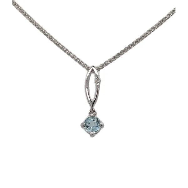 Colored Stone Necklace/Pendant Thomas A. Davis Jewelers Holland, MI