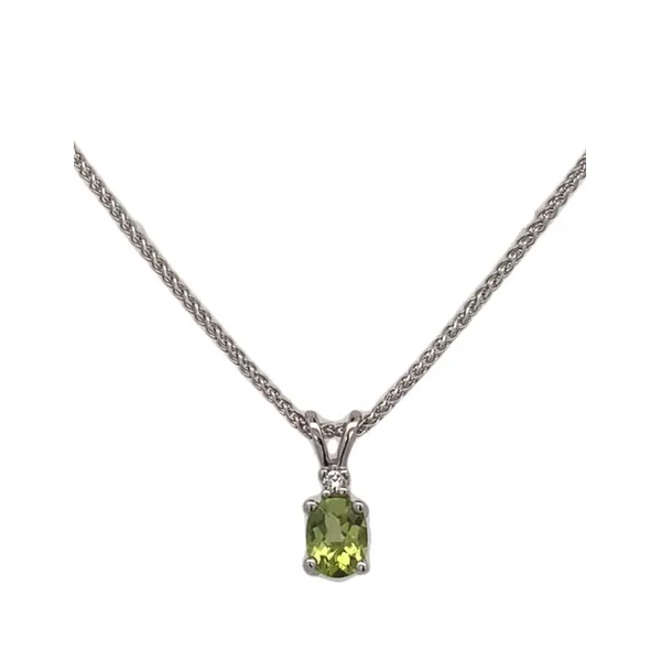 Colored Stone Necklace/Pendant Thomas A. Davis Jewelers Holland, MI