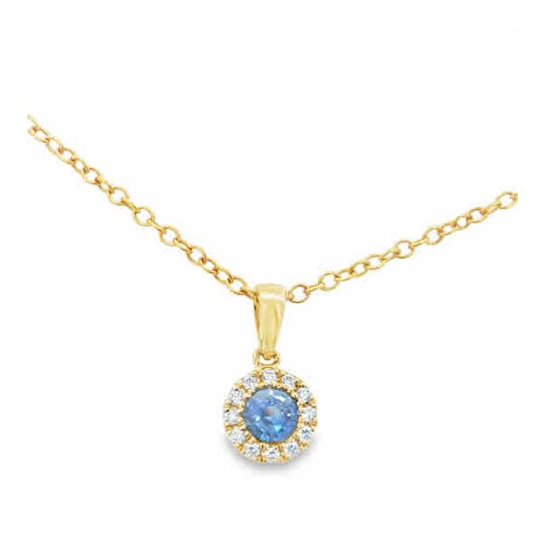 Colored Stone Necklace/Pendant Thomas A. Davis Jewelers Holland, MI