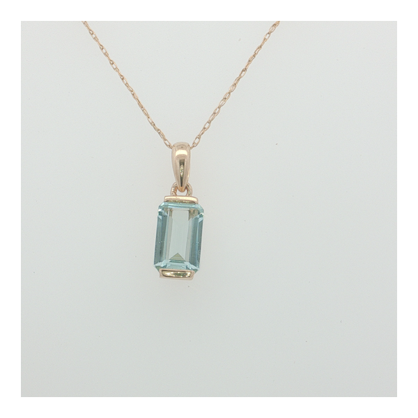 Colored Stone Necklace/Pendant Thomas A. Davis Jewelers Holland, MI