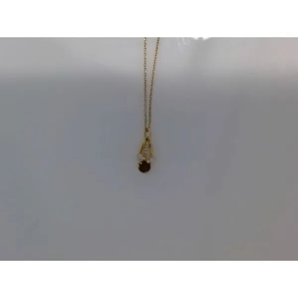 Colored Stone Necklace/Pendant Thomas A. Davis Jewelers Holland, MI