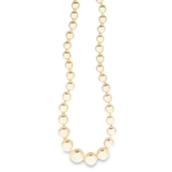 Pearl Necklace/Pendant Thomas A. Davis Jewelers Holland, MI