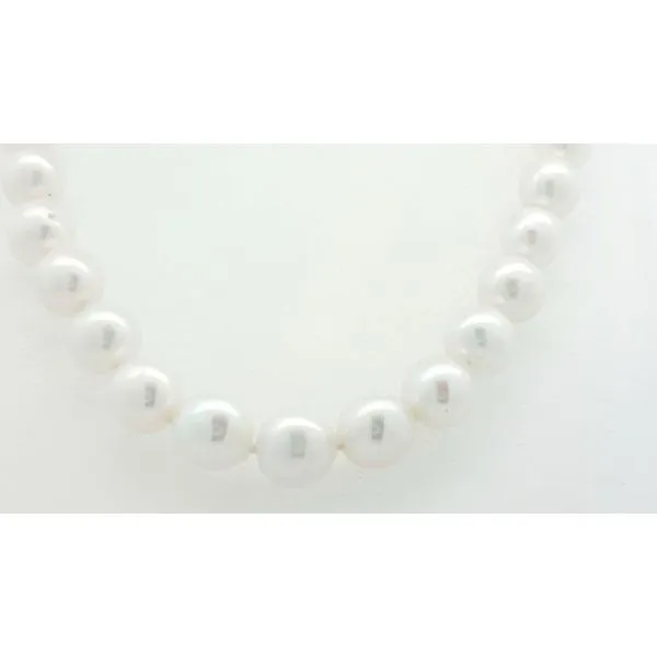 Pearl Necklace/Pendant Thomas A. Davis Jewelers Holland, MI