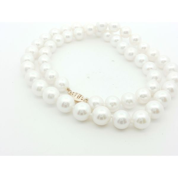 Pearl Necklace/Pendant Thomas A. Davis Jewelers Holland, MI