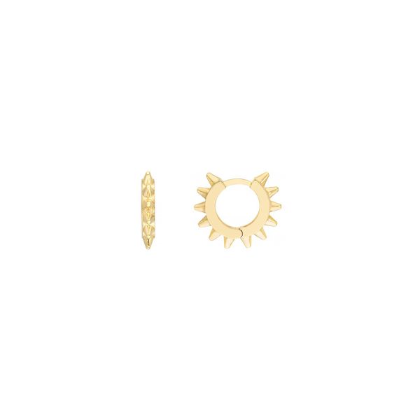 Gold Earrings Thomas A. Davis Jewelers Holland, MI