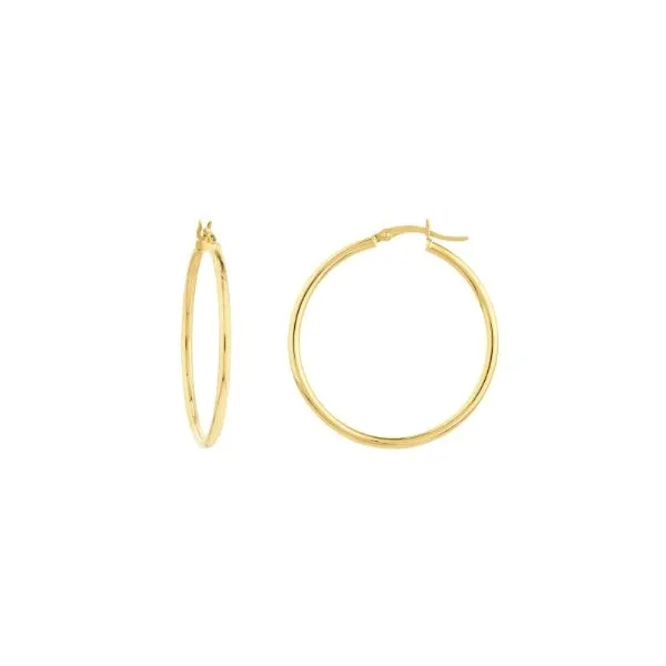 Gold Earrings Thomas A. Davis Jewelers Holland, MI