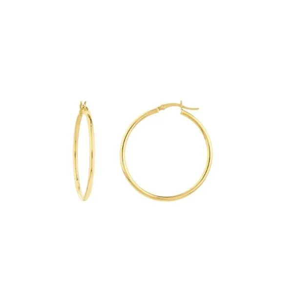 Gold Earrings Thomas A. Davis Jewelers Holland, MI