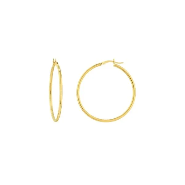Gold Earrings Thomas A. Davis Jewelers Holland, MI