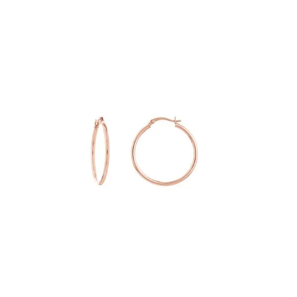 Gold Earrings Thomas A. Davis Jewelers Holland, MI
