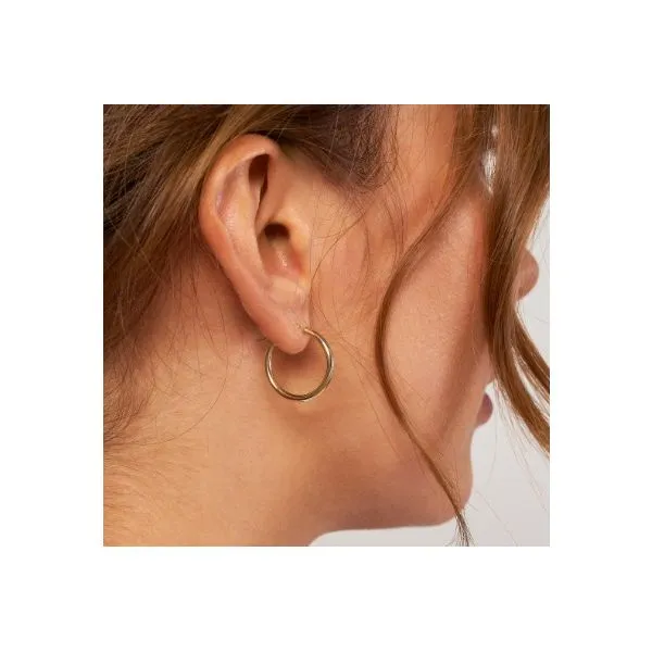 Gold Earrings Image 2 Thomas A. Davis Jewelers Holland, MI