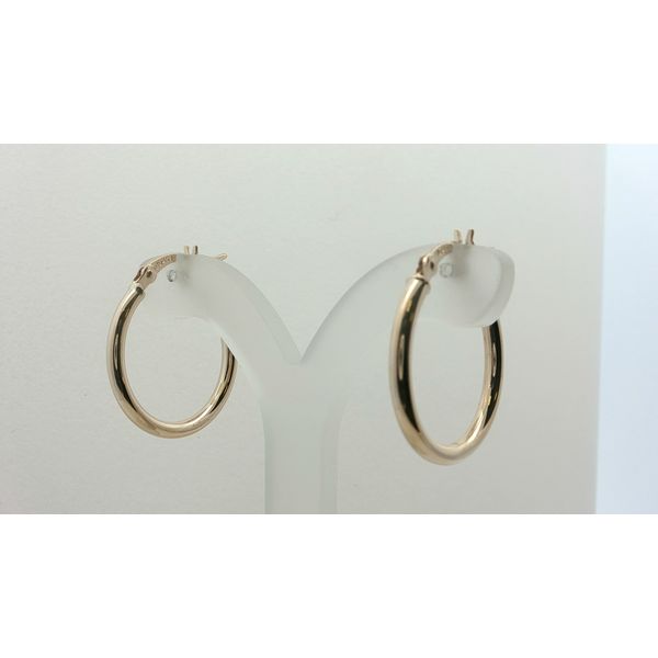 Gold Earrings Thomas A. Davis Jewelers Holland, MI