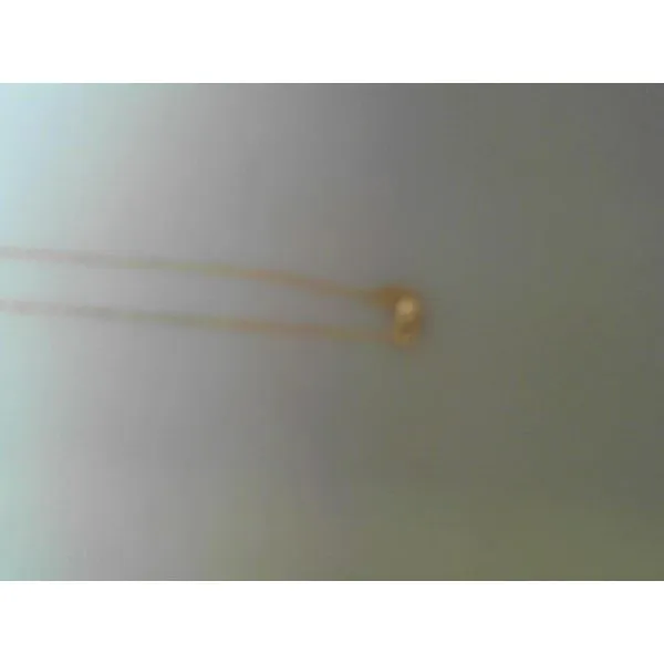 Gold Chain Thomas A. Davis Jewelers Holland, MI