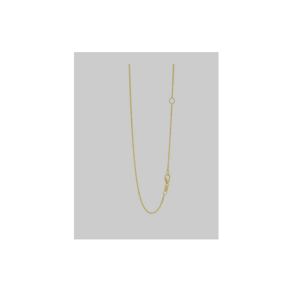 Gold Chain Thomas A. Davis Jewelers Holland, MI