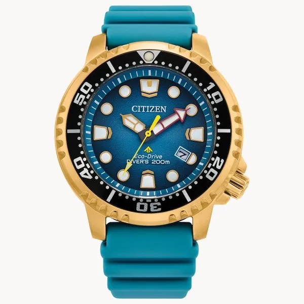 Citizen Women's Watch Thomas A. Davis Jewelers Holland, MI