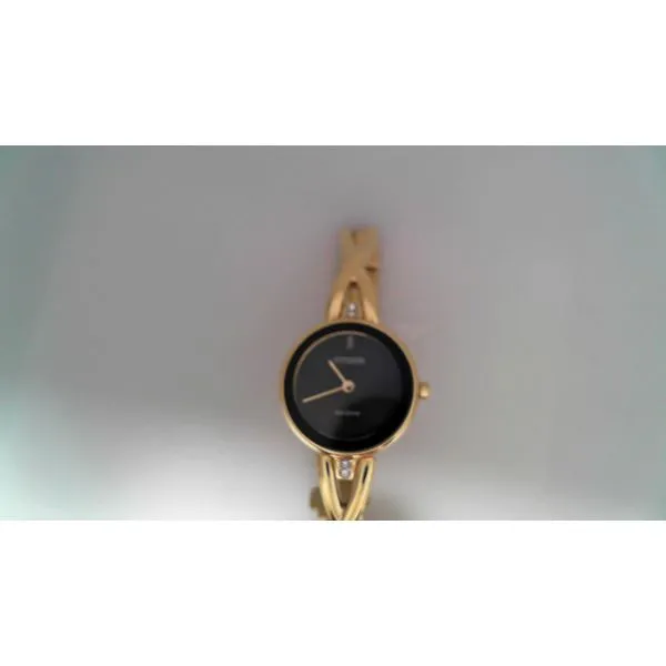 Citizen Women's Watch Thomas A. Davis Jewelers Holland, MI