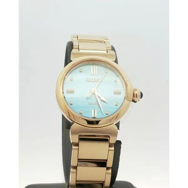 Citizen Women's Watch Thomas A. Davis Jewelers Holland, MI