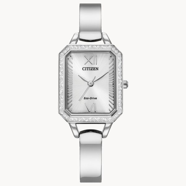 Citizen Women's Watch Thomas A. Davis Jewelers Holland, MI