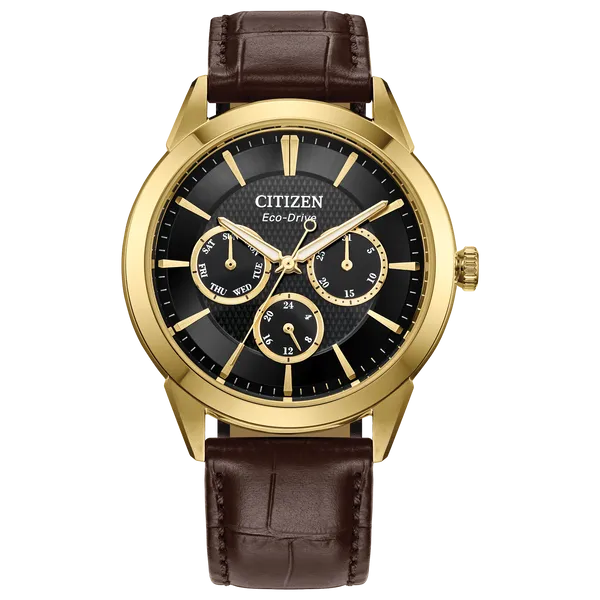 Citizen Men's Watch Thomas A. Davis Jewelers Holland, MI