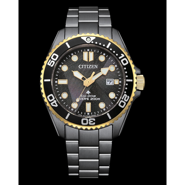 Citizen Men's Watch Thomas A. Davis Jewelers Holland, MI