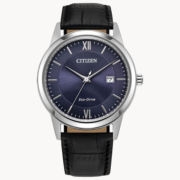 Citizen Men's Watch Thomas A. Davis Jewelers Holland, MI