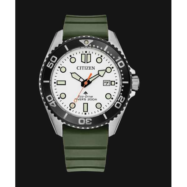 Citizen Men's Watch Thomas A. Davis Jewelers Holland, MI