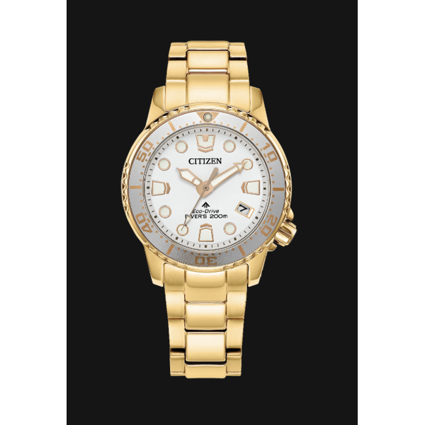 Citizen Men's Watch Thomas A. Davis Jewelers Holland, MI