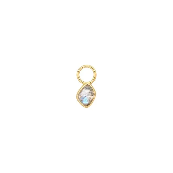 Ladies fashion silver Thomas A. Davis Jewelers Holland, MI