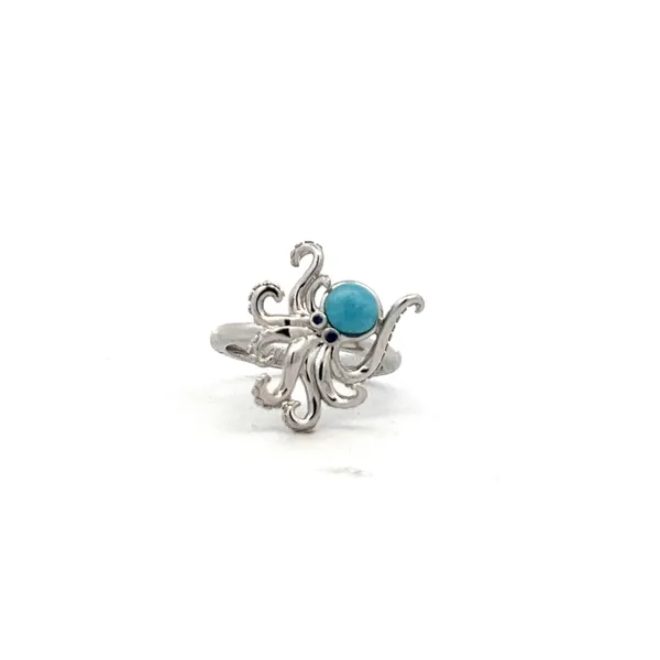 Ania Haie Thomas A. Davis Jewelers Holland, MI