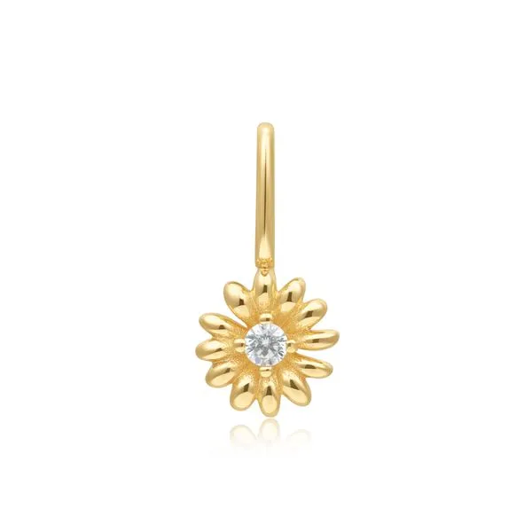 Ania Haie Thomas A. Davis Jewelers Holland, MI